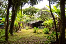 Casa em Ilha do Mel - Imperdível - Casa a 150m da Praia das Encantadas