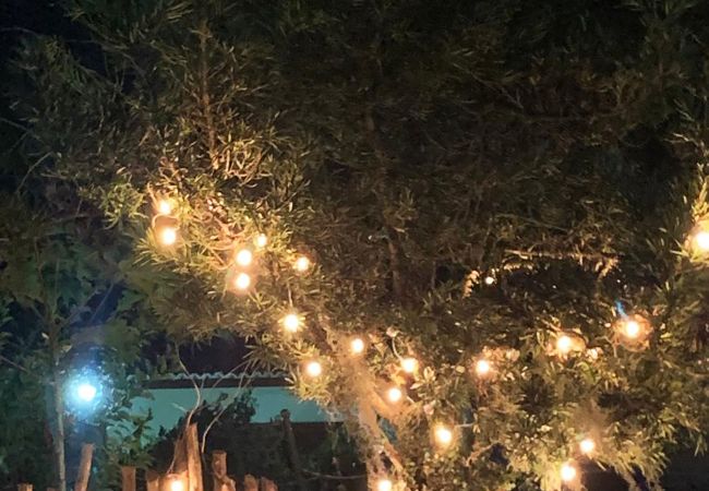 Casa em Chã Grande - Casa de campo c vista para montanhas em Chã Grande Casa em Chã Grande - Casa de campo c vista para montanhas em Chã Grande