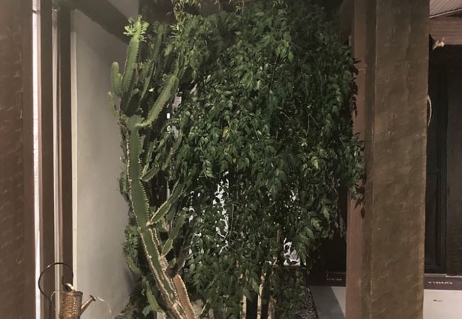 Apartamento em Armação dos Búzios - Incrível loft próximo a praia c pisc em Búzios/RJ Apartamento em Armação dos Búzios - Incrível loft próximo a praia c pisc em Búzios/RJ