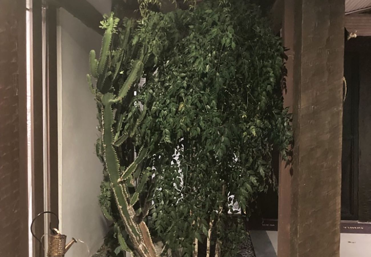 Apartamento em Armação dos Búzios - Incrível loft próximo a praia c pisc em Búzios/RJ Apartamento em Armação dos Búzios - Incrível loft próximo a praia c pisc em Búzios/RJ