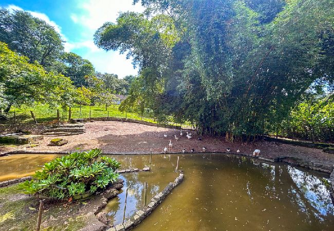 Casa em Santa Isabel - Incrível chácara c churrasqueira - Santa Isabel/SP Casa em Santa Isabel - Incrível chácara c churrasqueira - Santa Isabel/SP