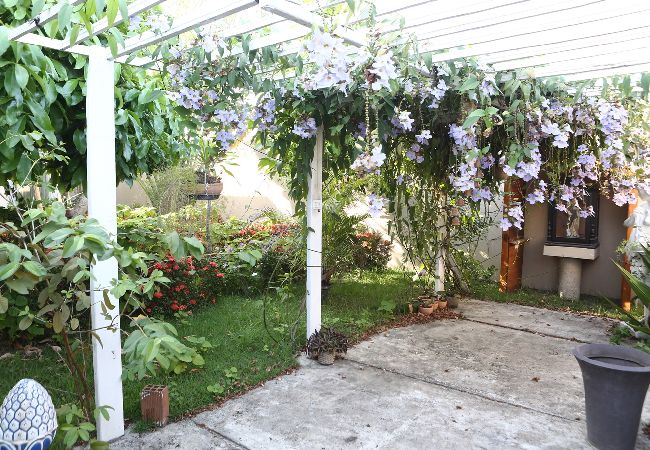 Chalé em Itabaiana - Chalé ótimo para Ecoturismo em Itabaiana/Sergipe Chalé em Itabaiana - Chalé ótimo para Ecoturismo em Itabaiana/Sergipe