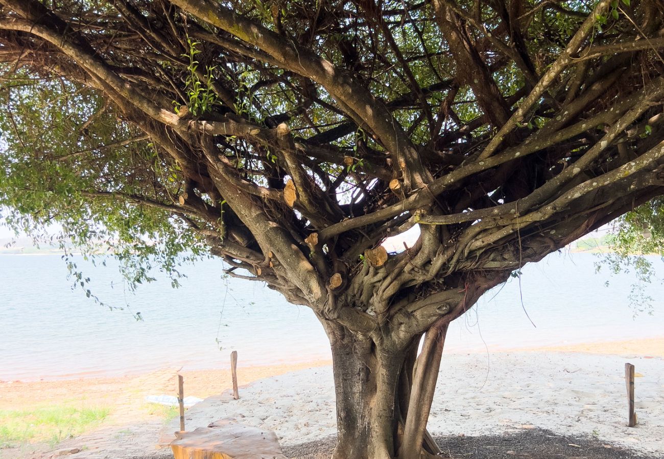 Chalé em Delfinópolis - Chalé com vista e acesso ao Rio Grande - MG Chalé em Delfinópolis - Chalé com vista e acesso ao Rio Grande - MG