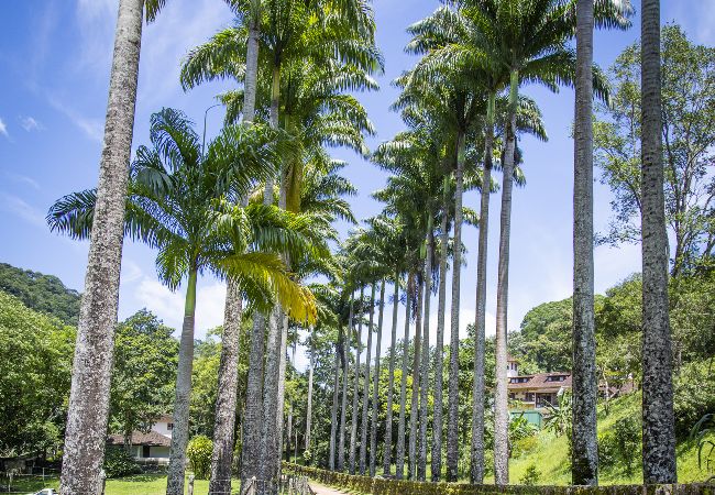 Casa em Macaé - Casa ampla c piscina e churrasq em meio à natureza Casa em Macaé - Casa ampla c piscina e churrasq em meio à natureza