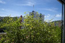 Casa em Poços de Caldas - Casa Pet Friendly c 3 Quartos e Garagem no Jardim