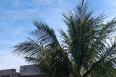 Casa em Itanhaém - TITULO PROVISORIO-JOÃO AUGUSTO FILHO