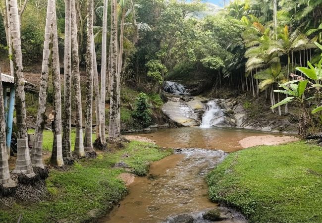Chalé em Nova Trento - Chalé com Riacho e Cachoeira Privativa Nova Trento