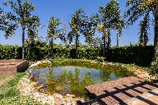 Casa de Campo em Trindade - Chácara com Piscina, Hidro e Lago em Trindade - GO