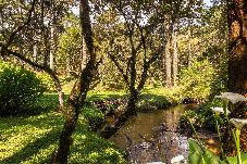 Casa em Campos do Jordão - Casa com Lareira, Hidro e BBQ no Horto Florestal